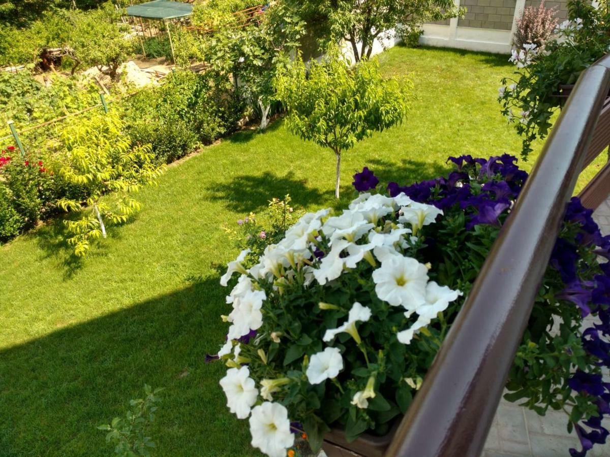 Apartments In Golden Sands Park Near The Sea Varna Exterior foto